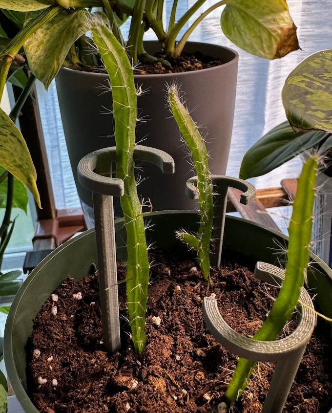 Baby Plant Support