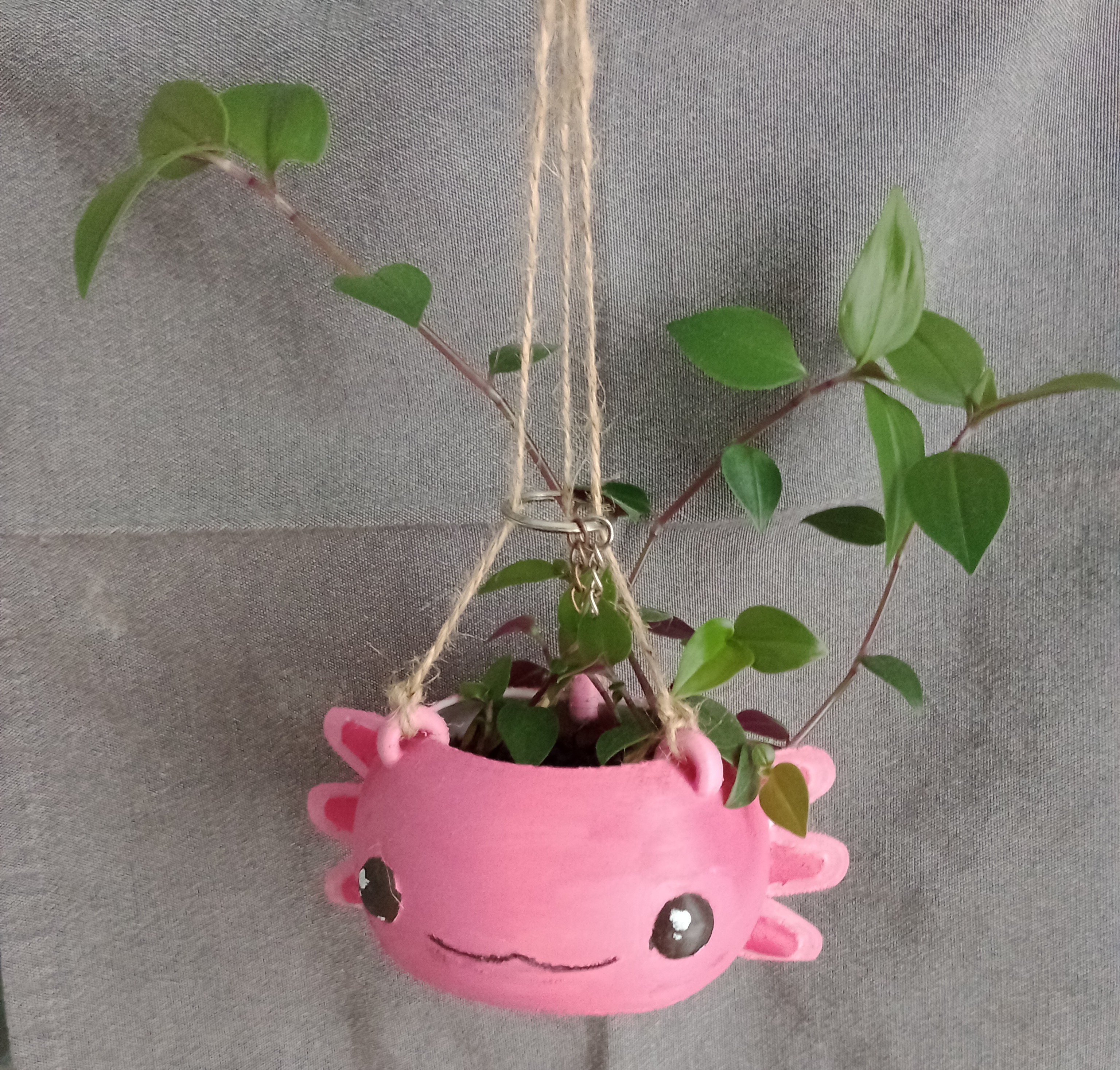 Axolotl - Hanging plant pot