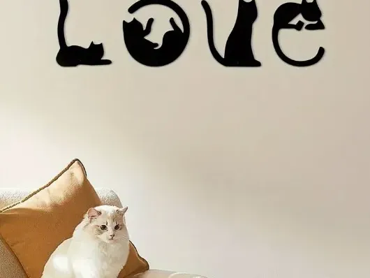 LOVE Cats