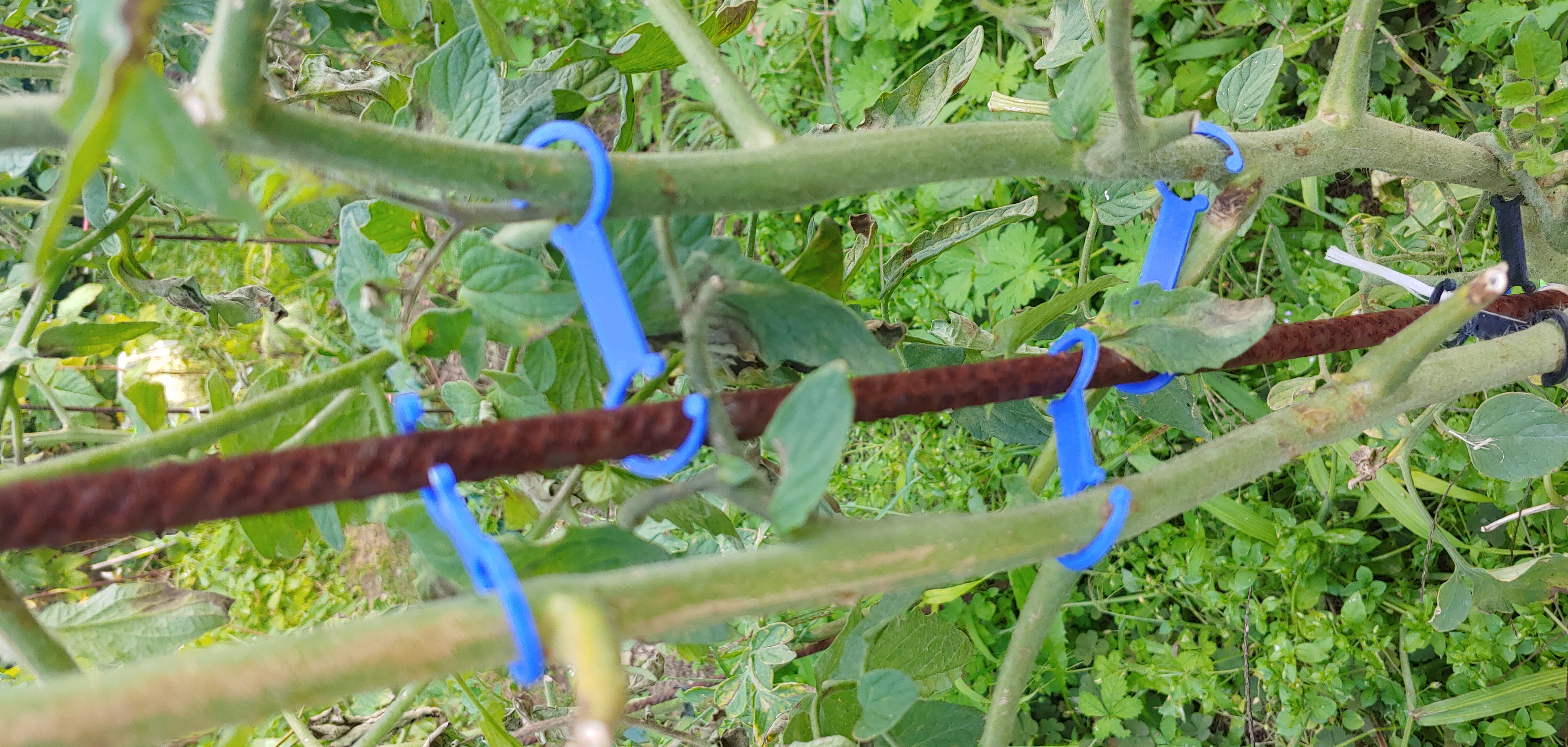 Planting Hook — miniatura 2