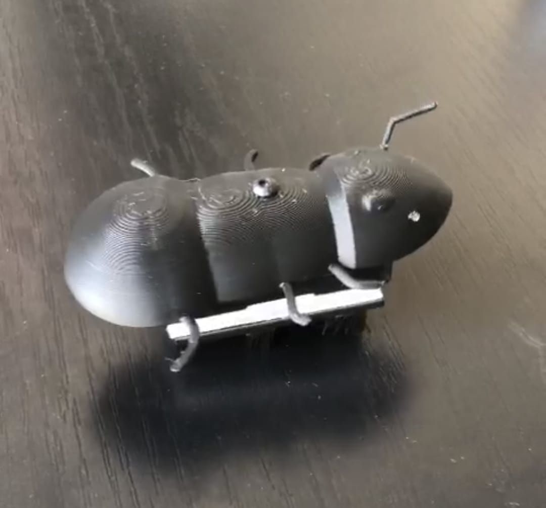 Small Ant Toy Shell