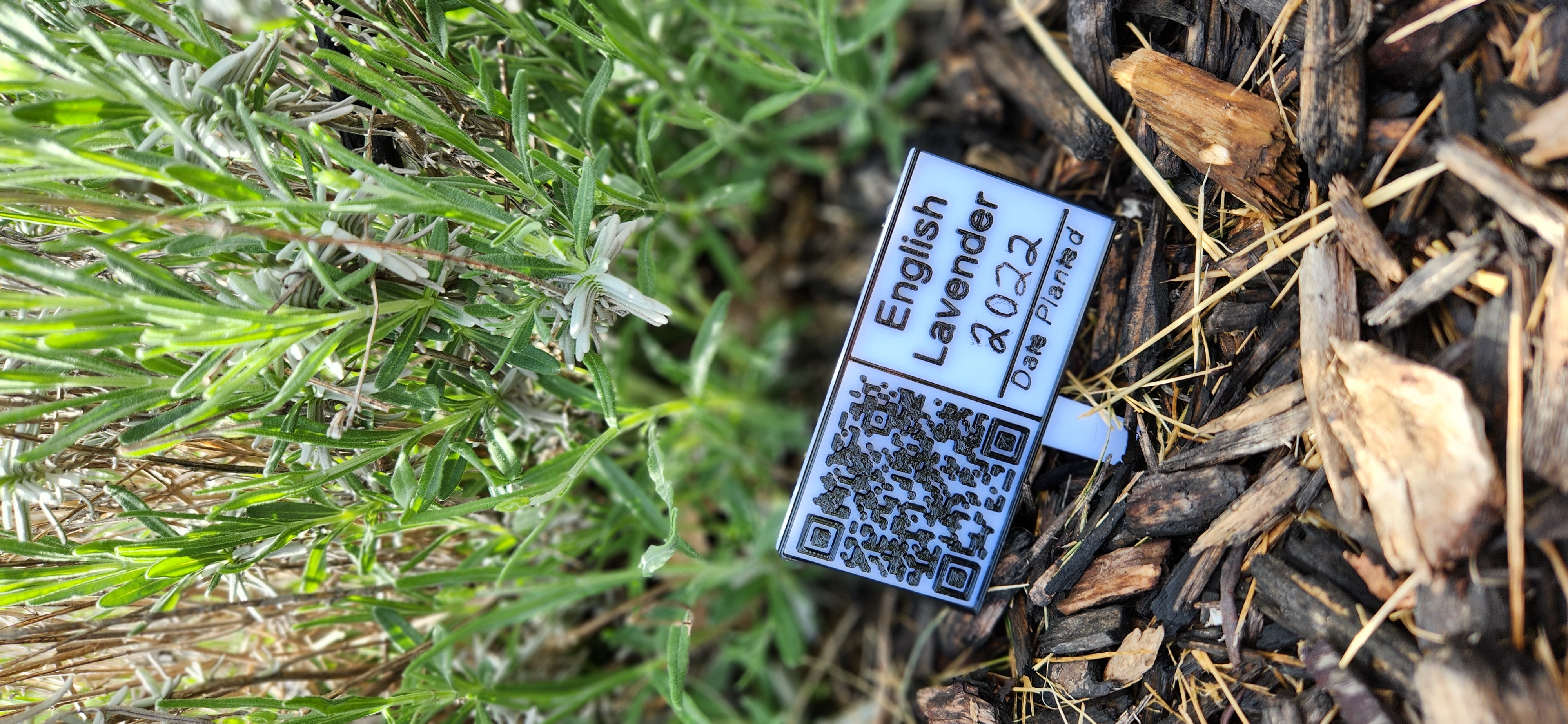 Miniatura 3 do modelo 3D QR Code Plant Tag