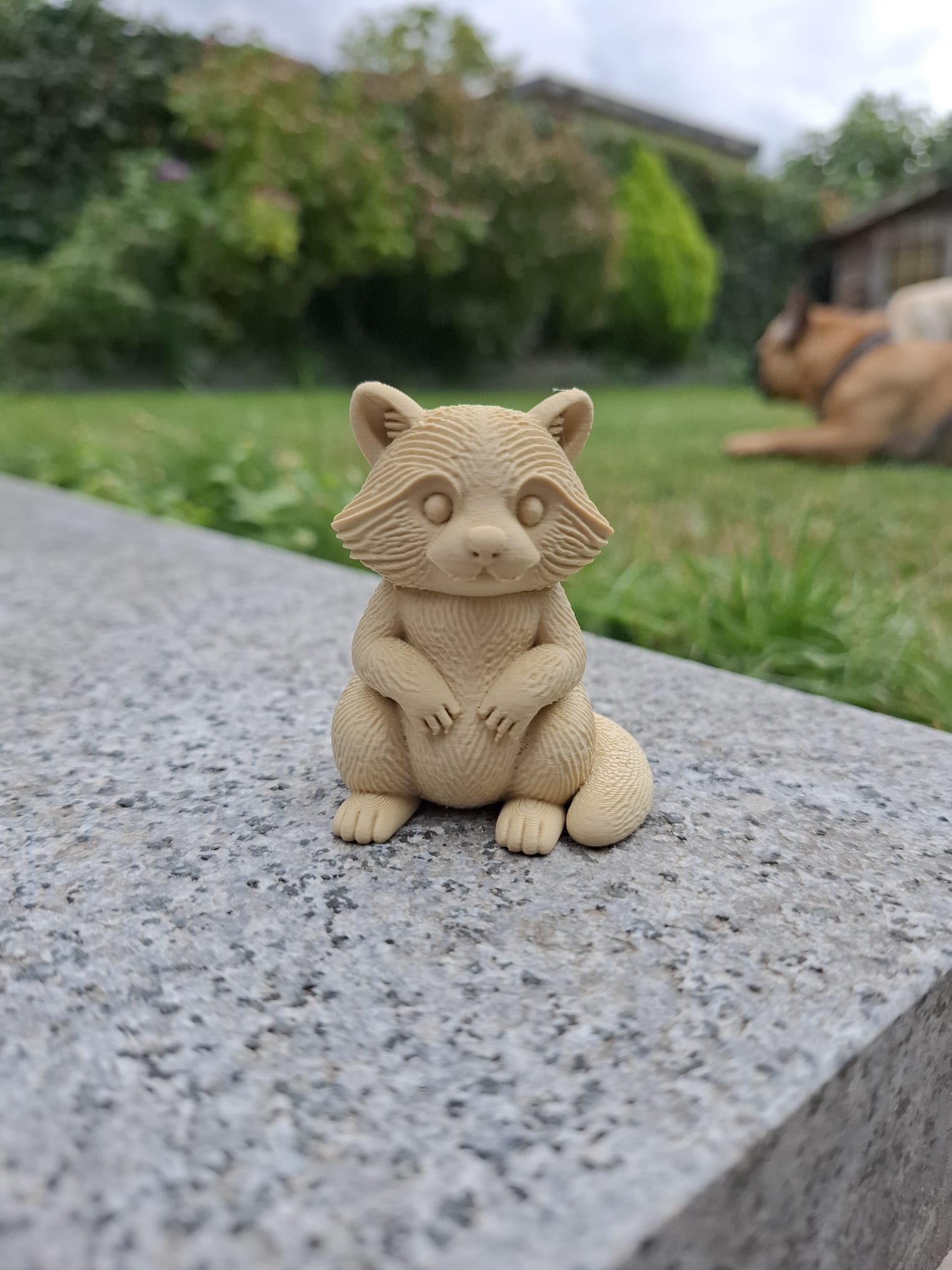 Chill Raccoon