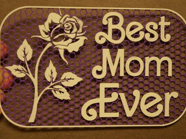 Best Mom Ever sign