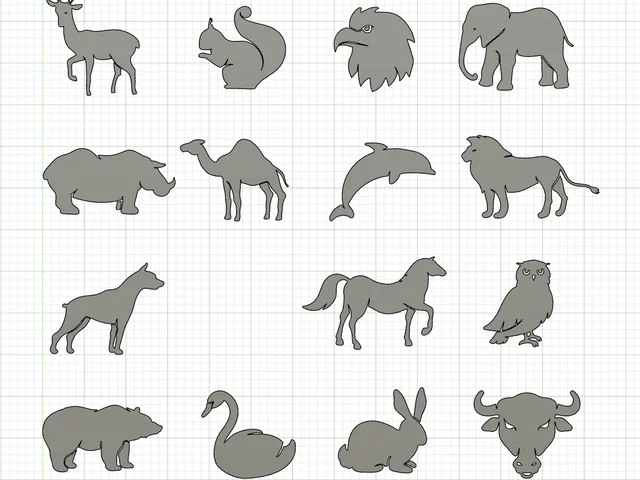 Animal Pack Wall Art