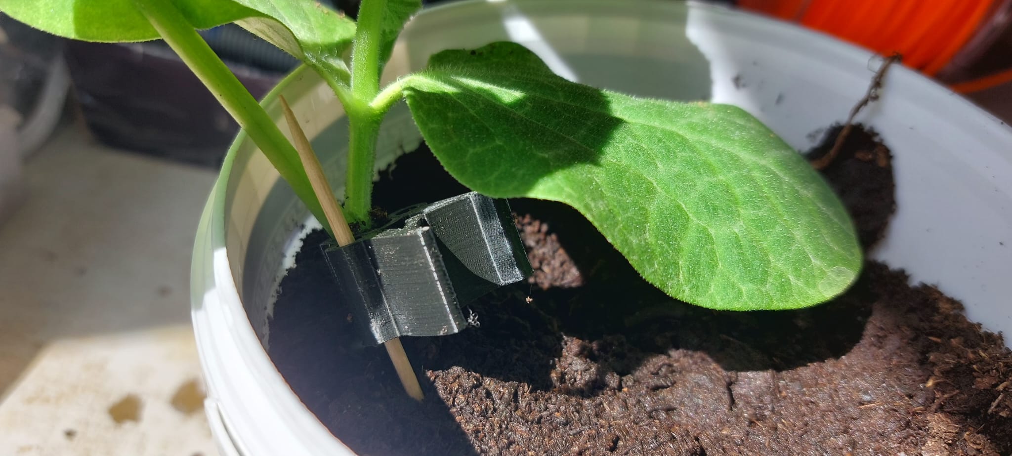 Klip na roubování rajčat a okurek ( tomato and cucumber grafting clip )