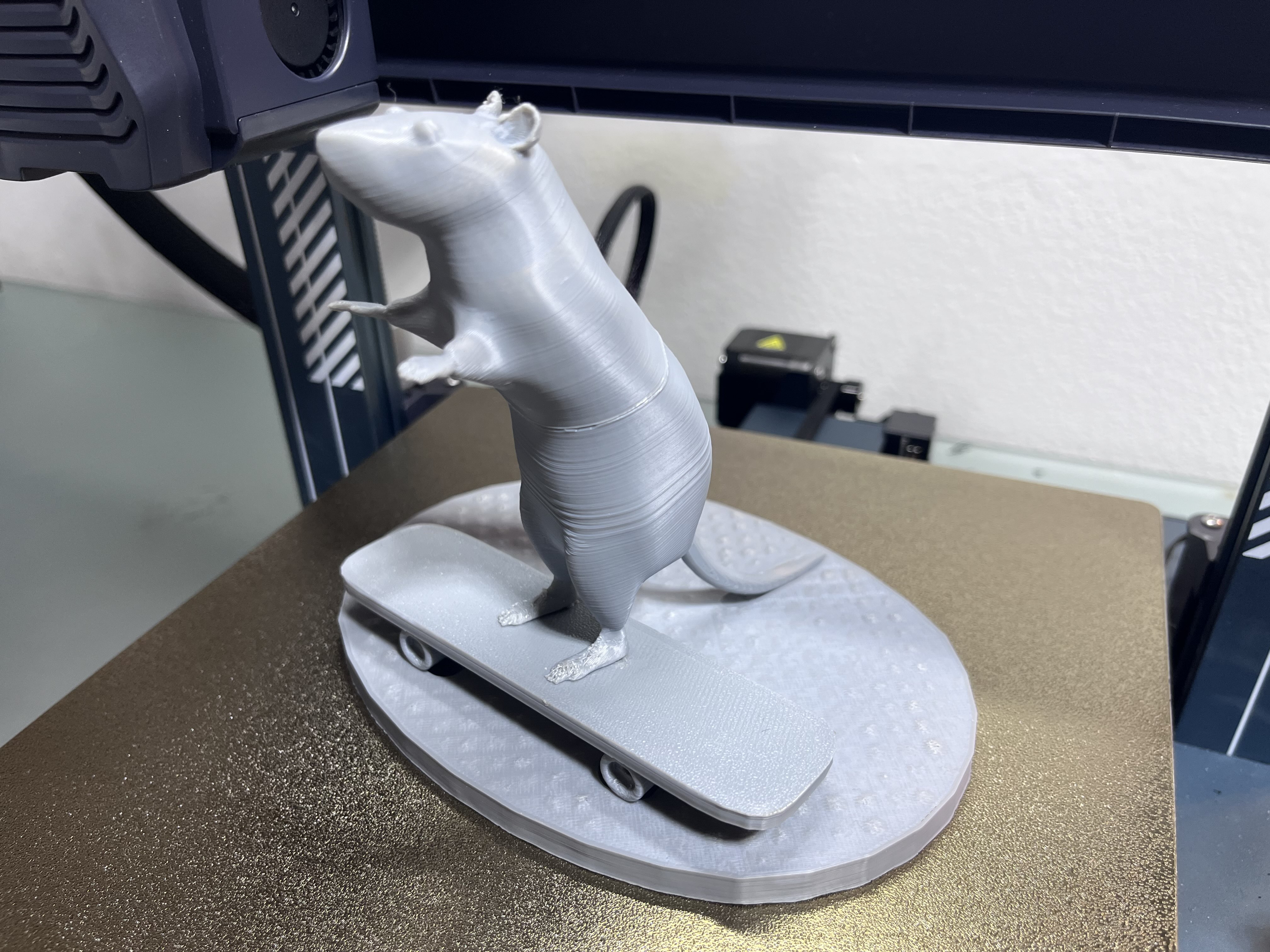 Rat on a Skateboard