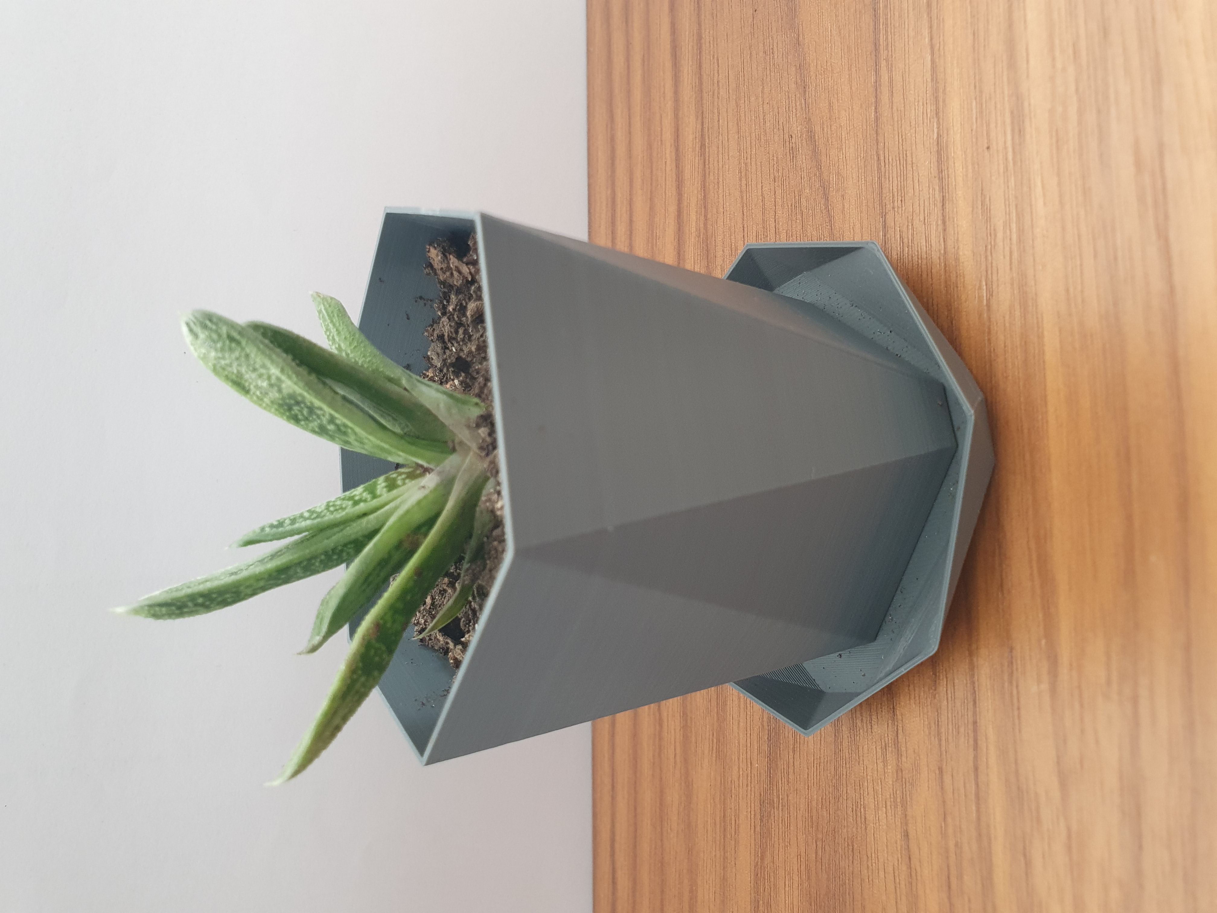 Faceted plant pot