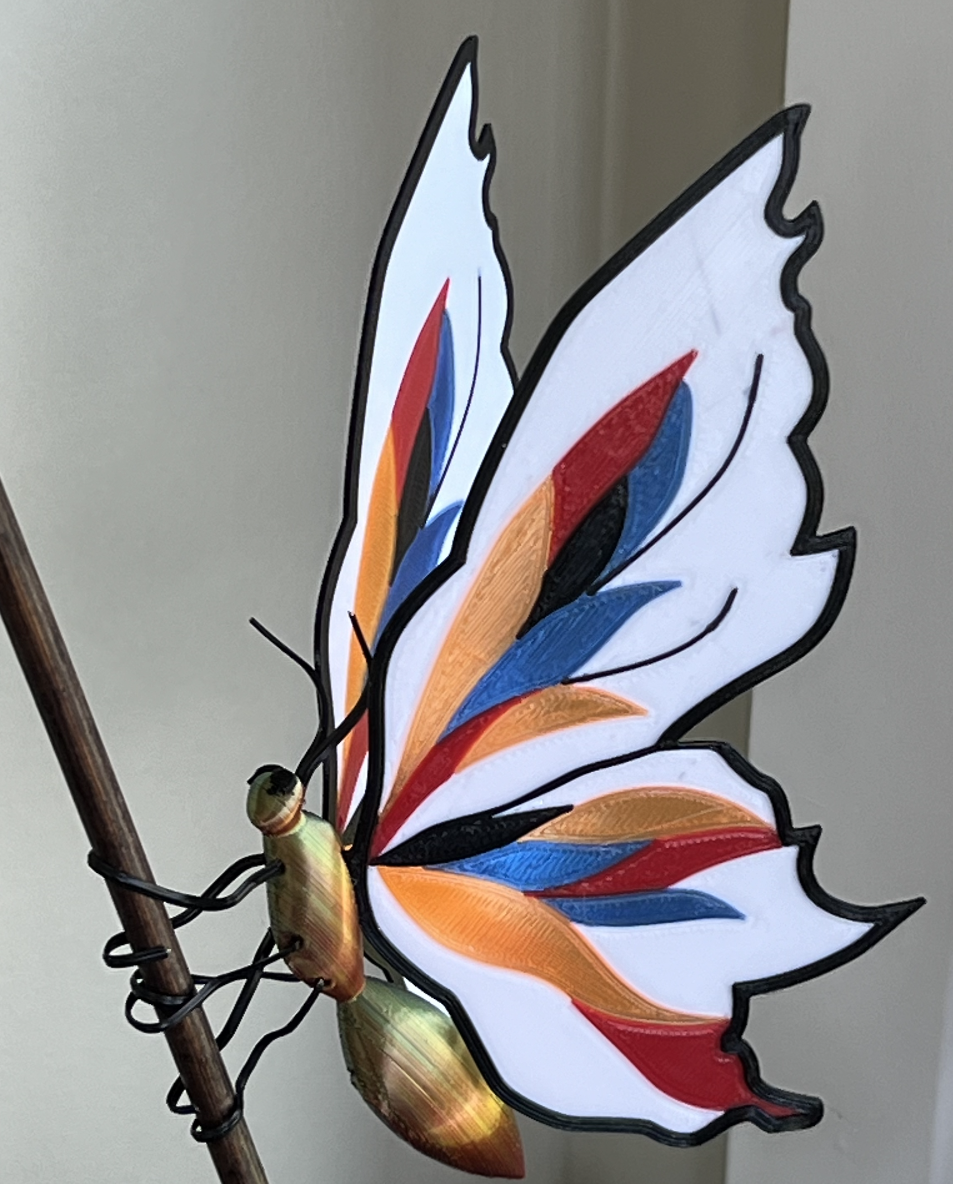 Colourful Butterfly