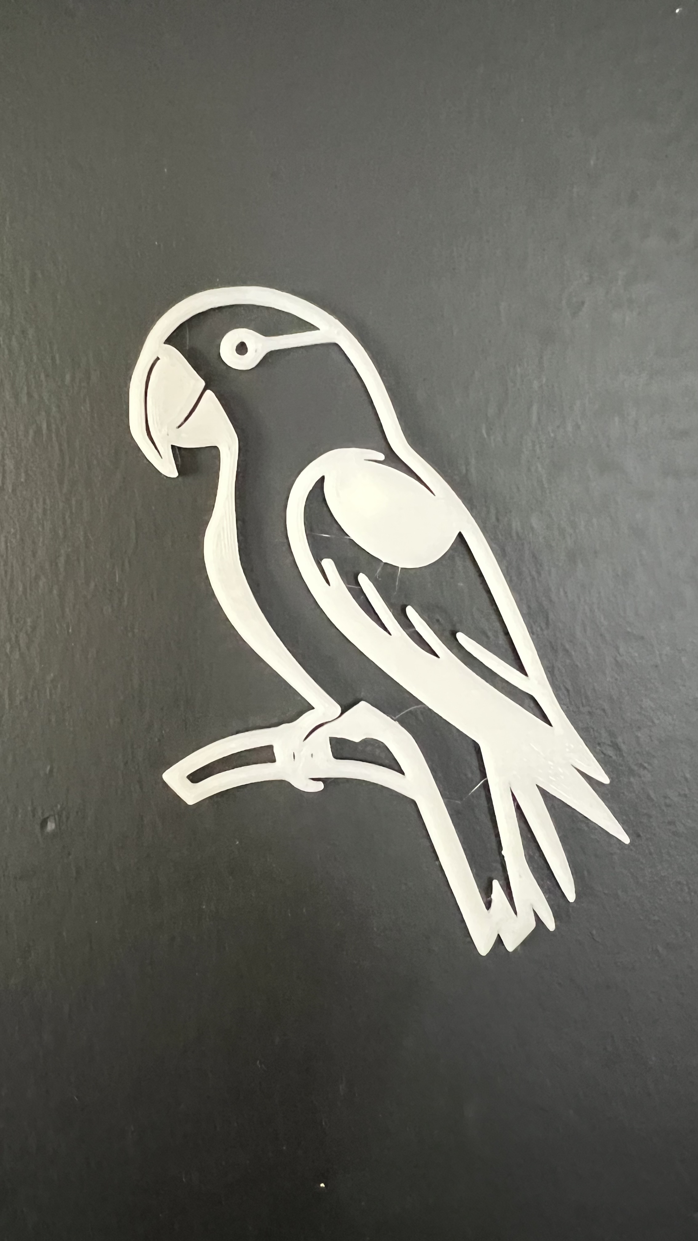 Parrot Wall Art #1
