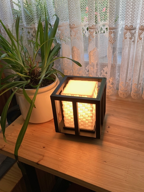 Lamp # 32 - Blocks Caged