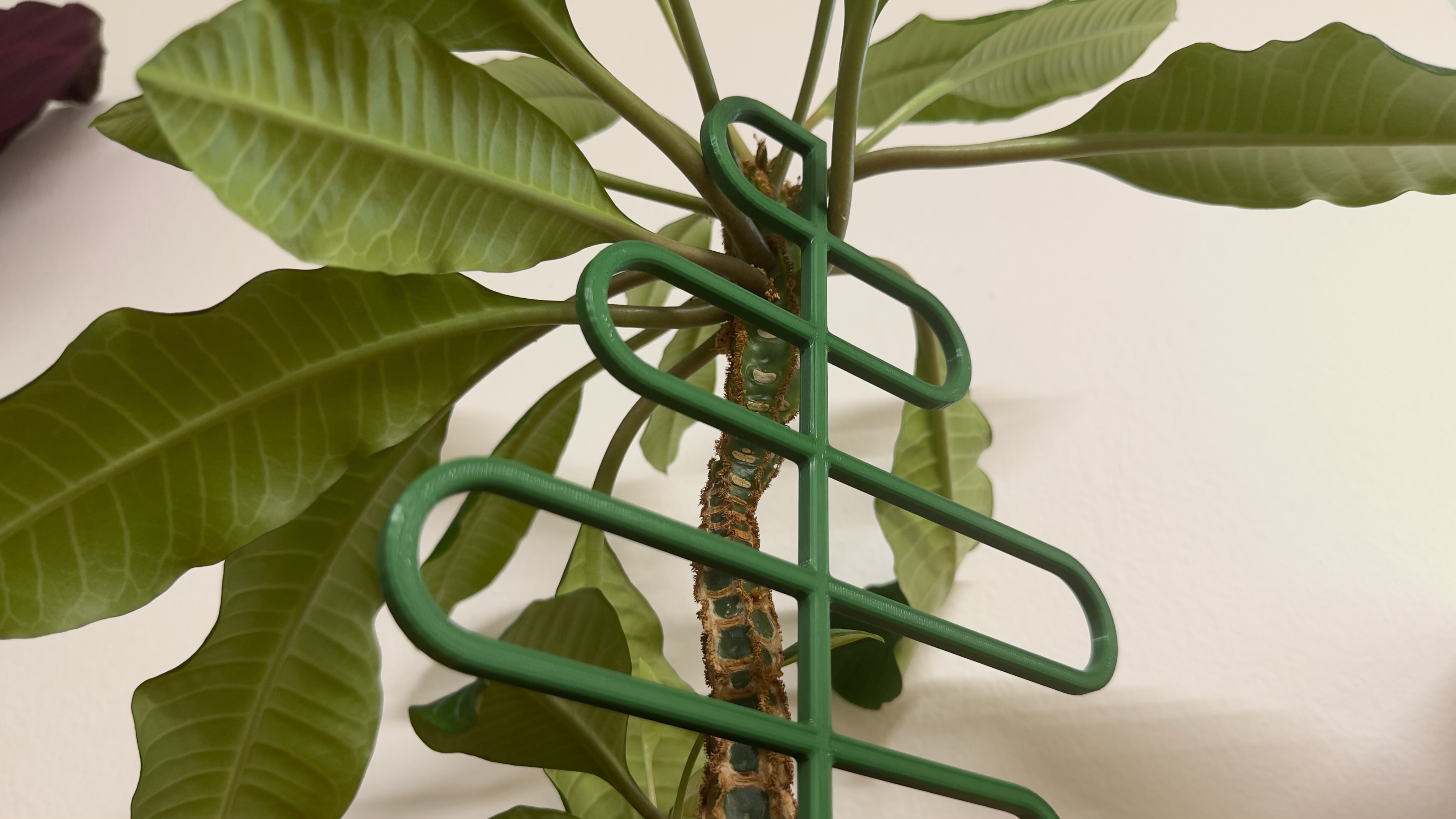 Flower supports / Podpory pro květiny
