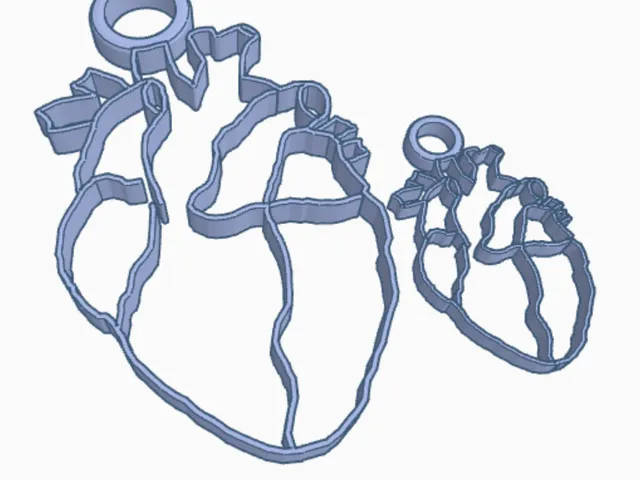 Heart keychain
