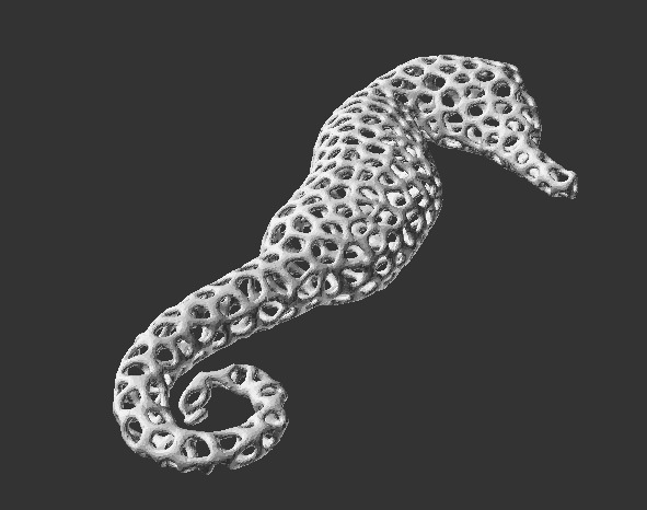 Voronoi Seahorse