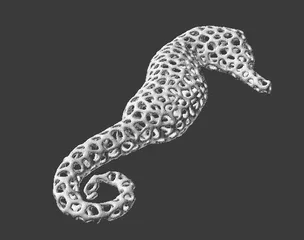 Voronoi Seahorse