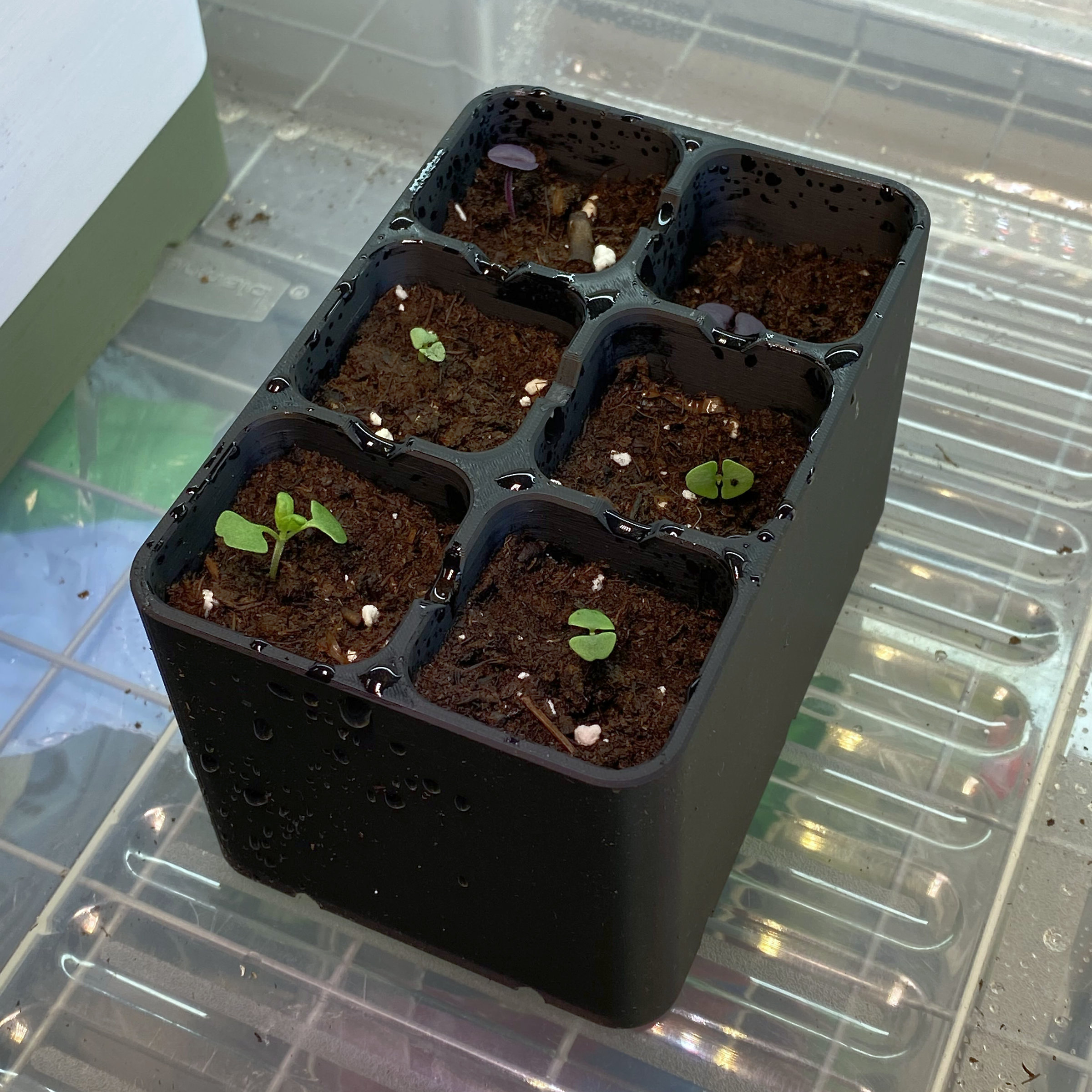 Practical Seedling Trays