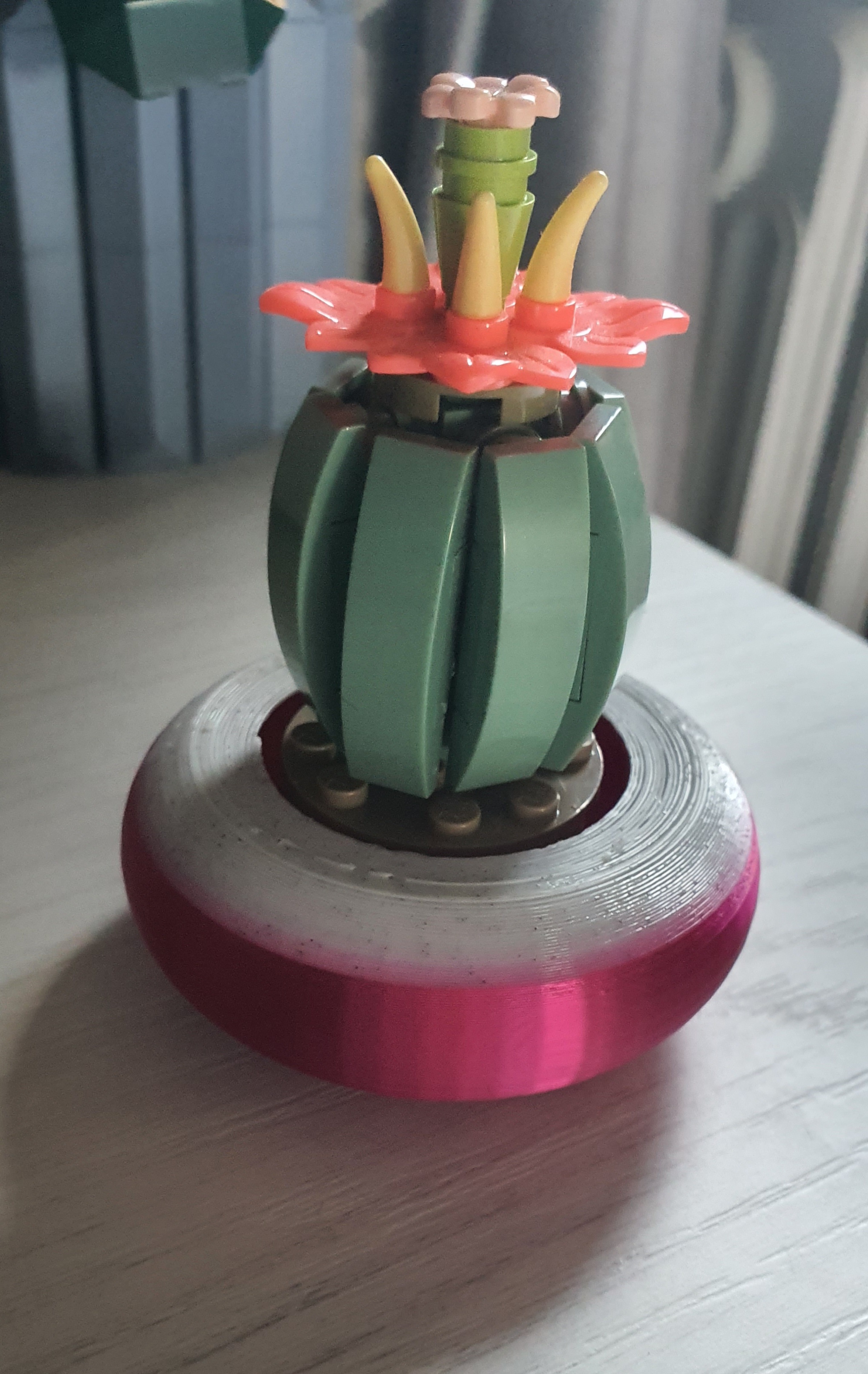 Cactus pot