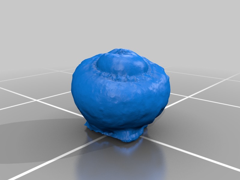 Miniatura 2 do modelo 3D Photogrammetry gourd