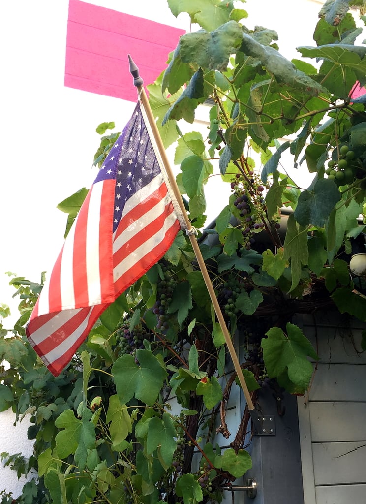 Flag Mount (Corner)