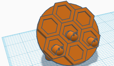 wasp nest