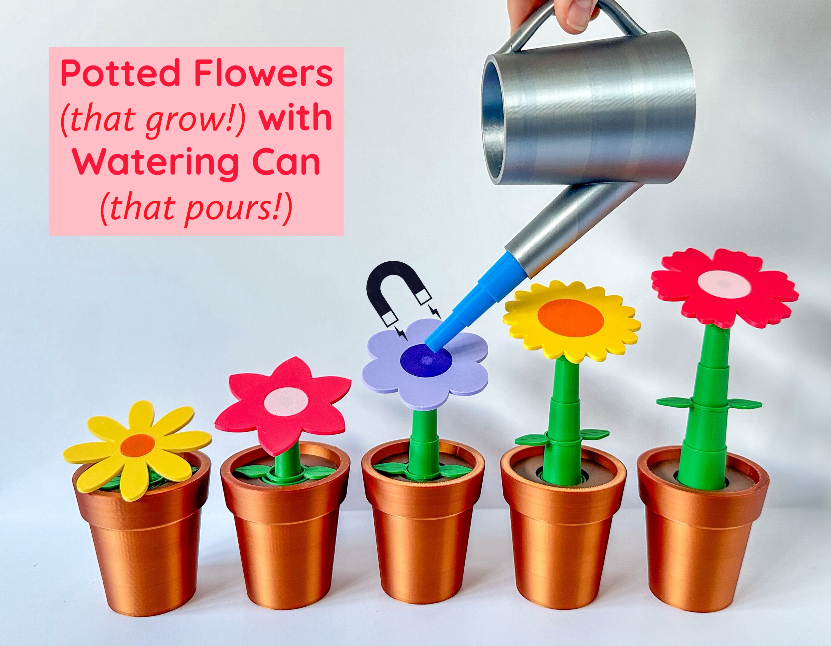 Potted Flowers with Watering Can