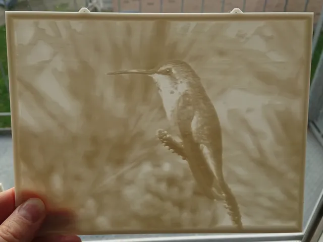 Hummingbird lithophane