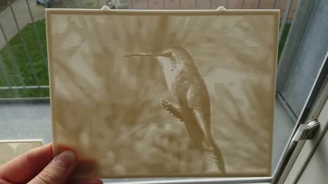 Hummingbird lithophane