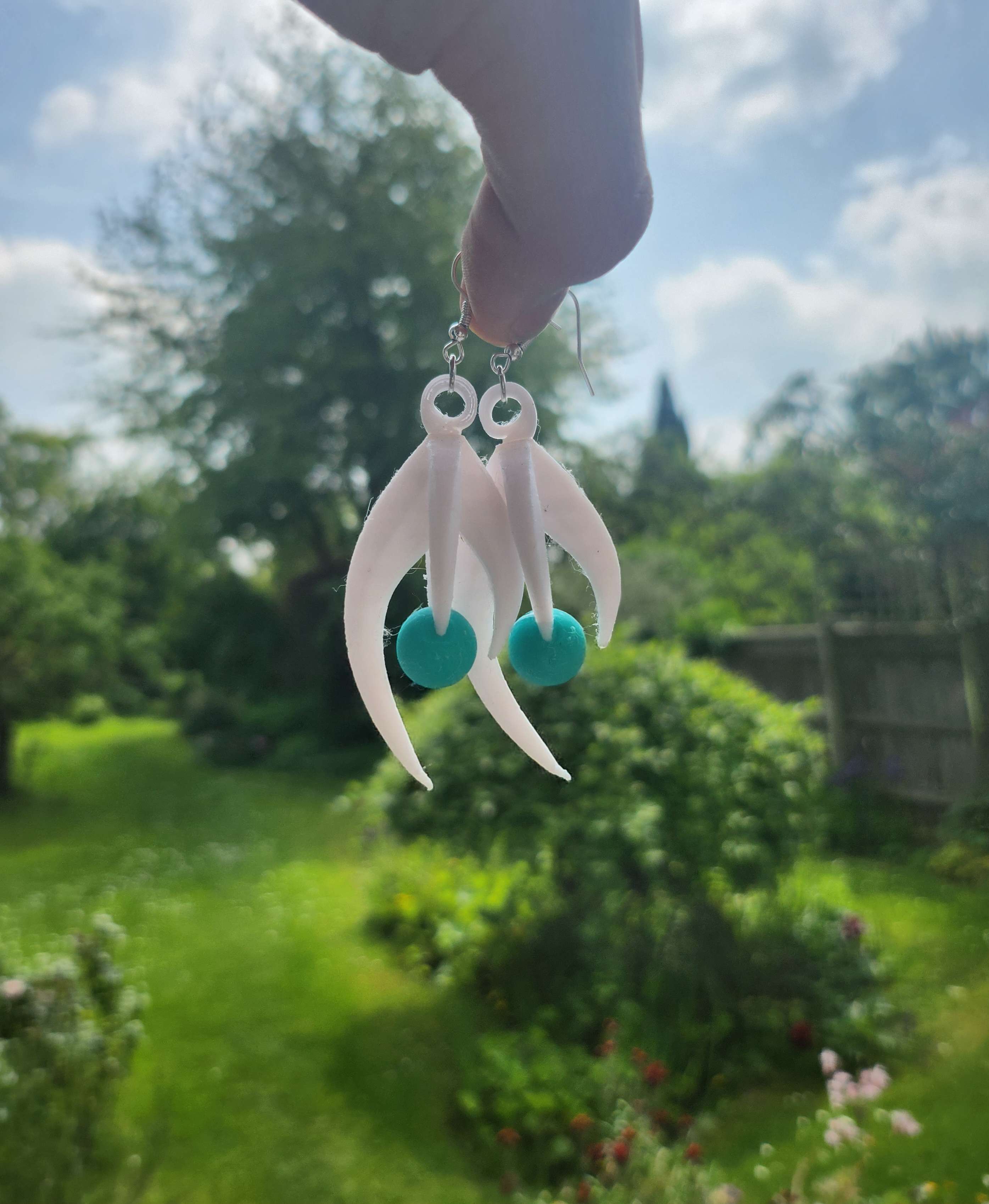 Earrings
