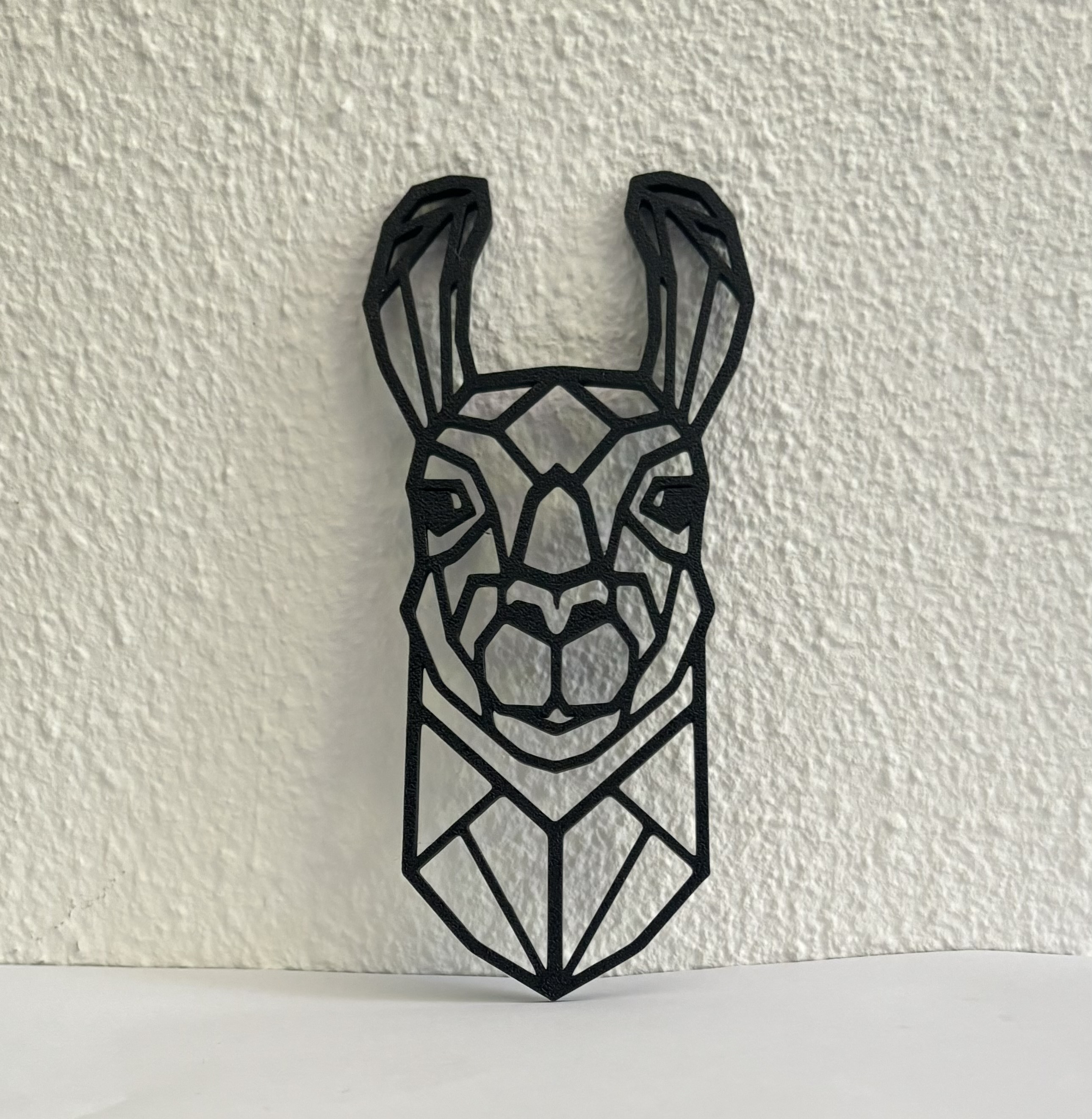 Geometric llama