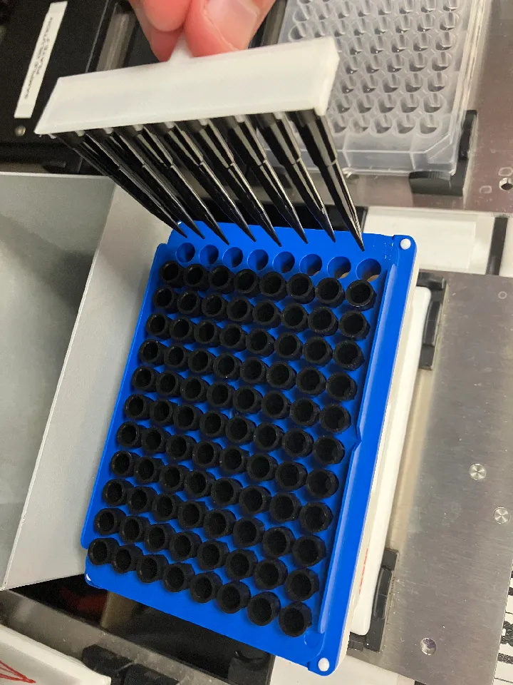 Parametric Pipette Tip Rake by gglobalwarming | Download free STL model ...