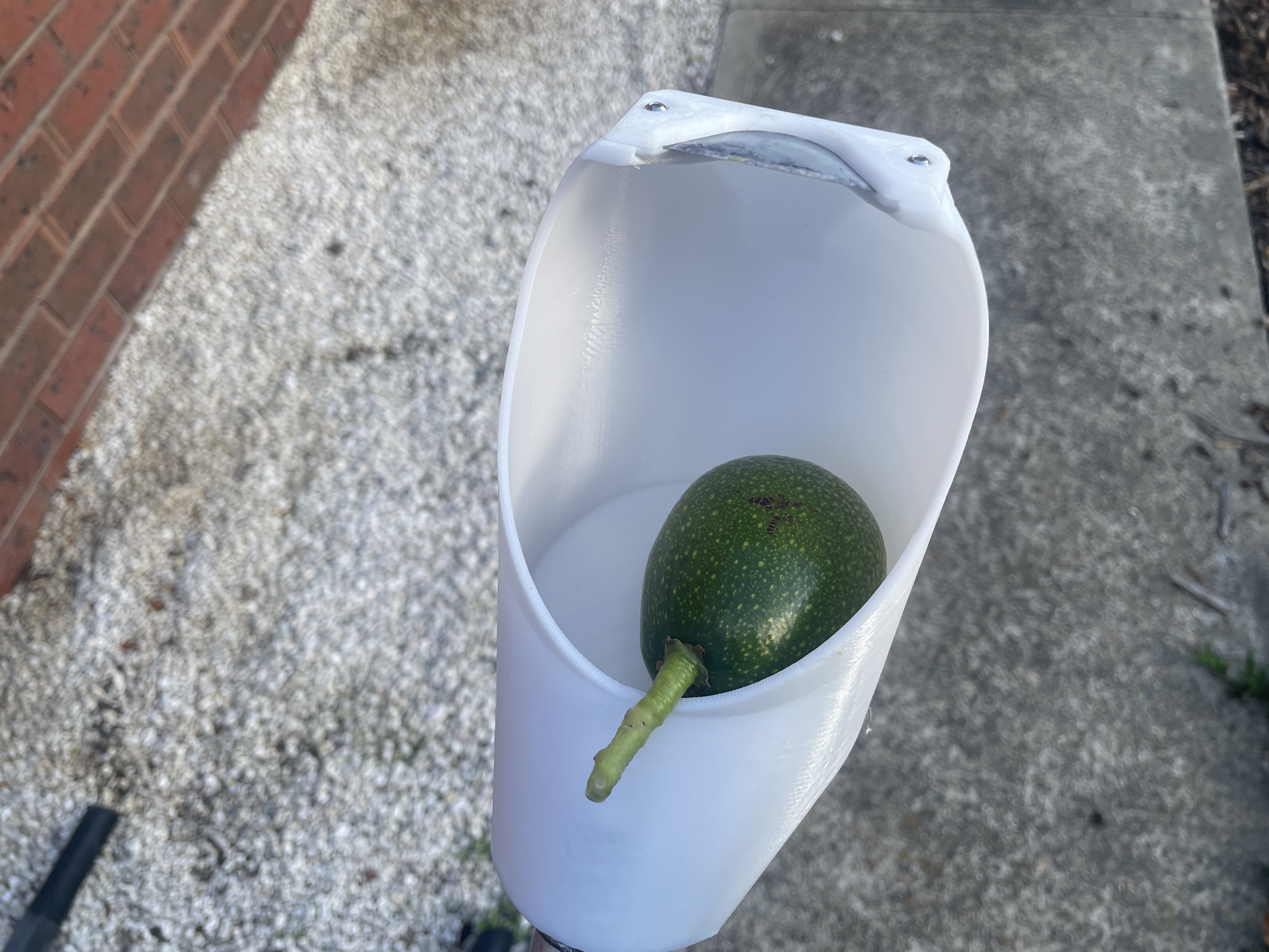 Miniatura 3 do modelo 3D Fruit picker with cutter