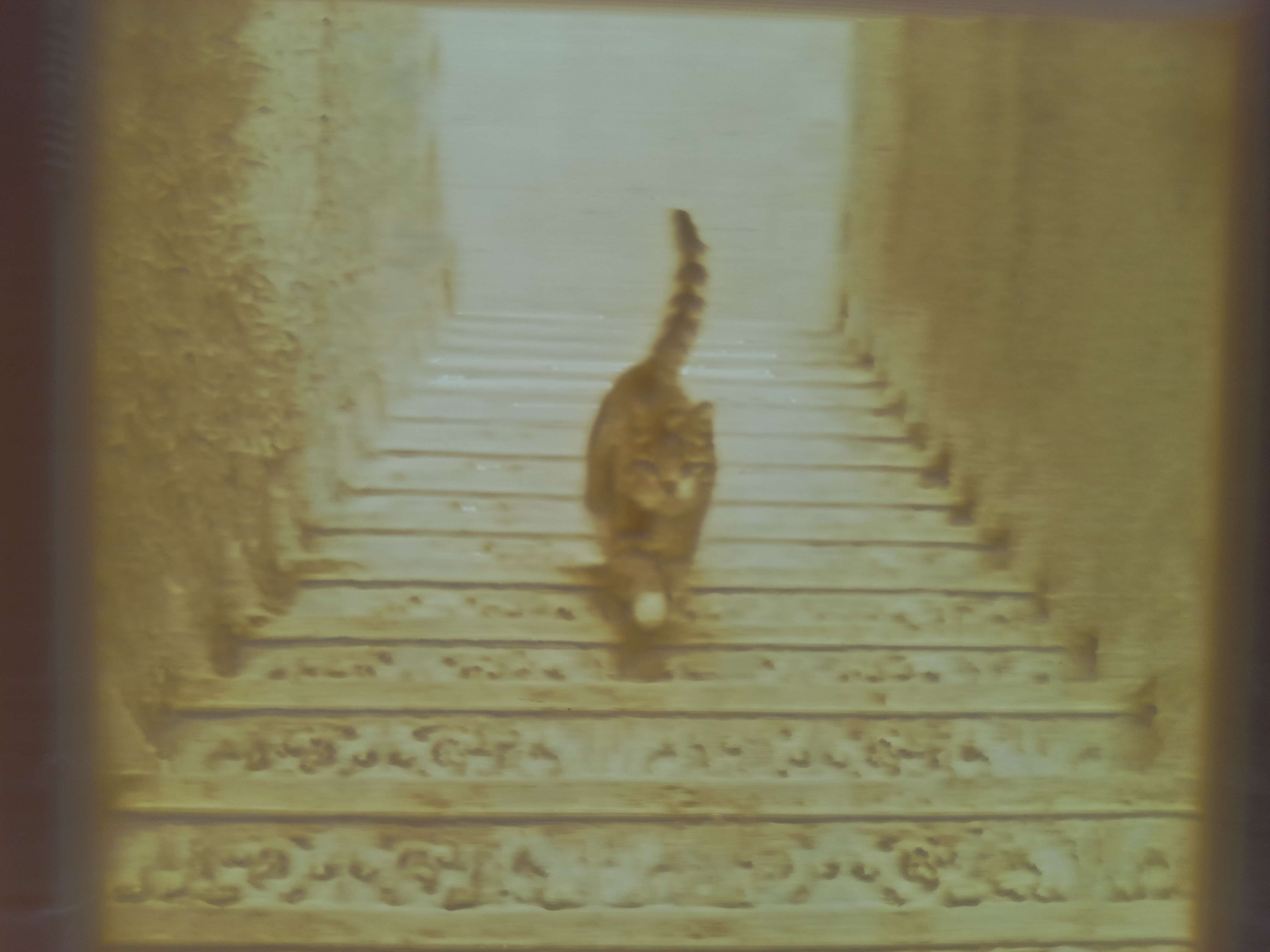 Cat on Stairs Illusion Lithophane