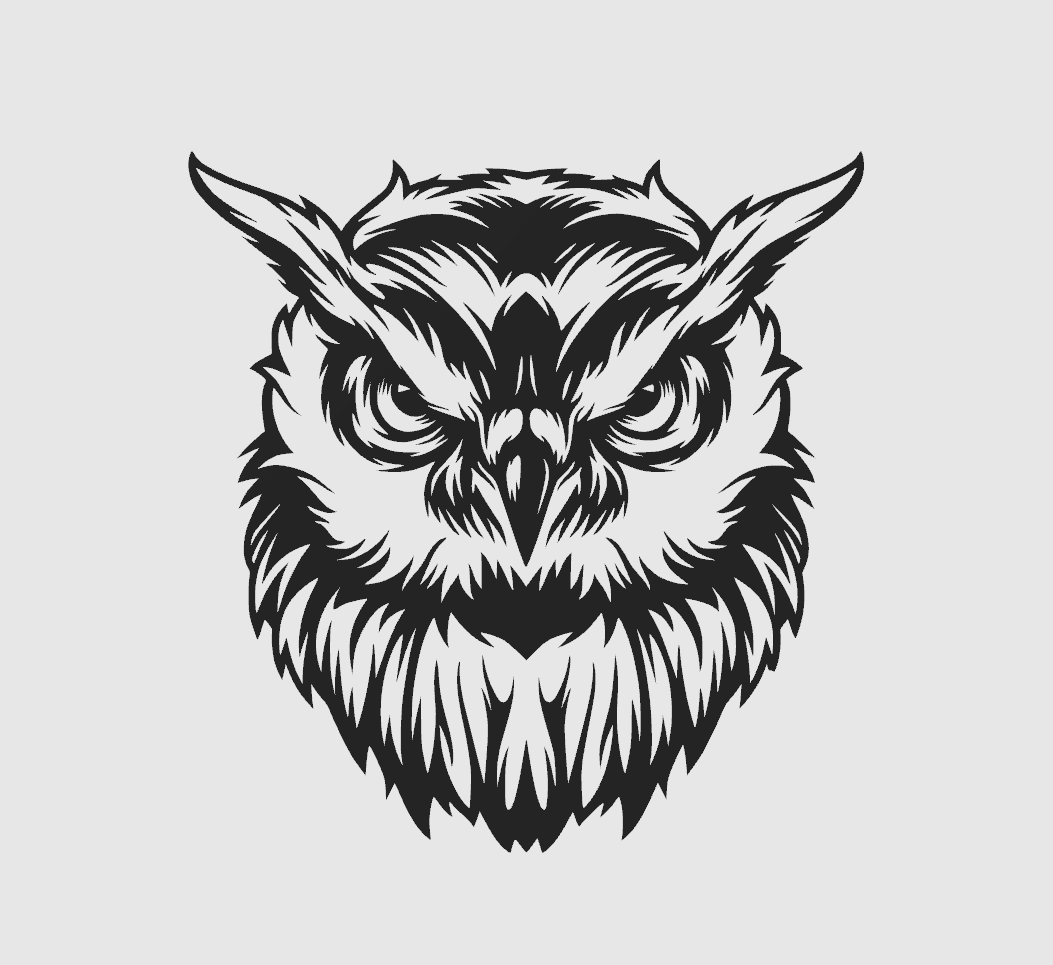 owl - wall art