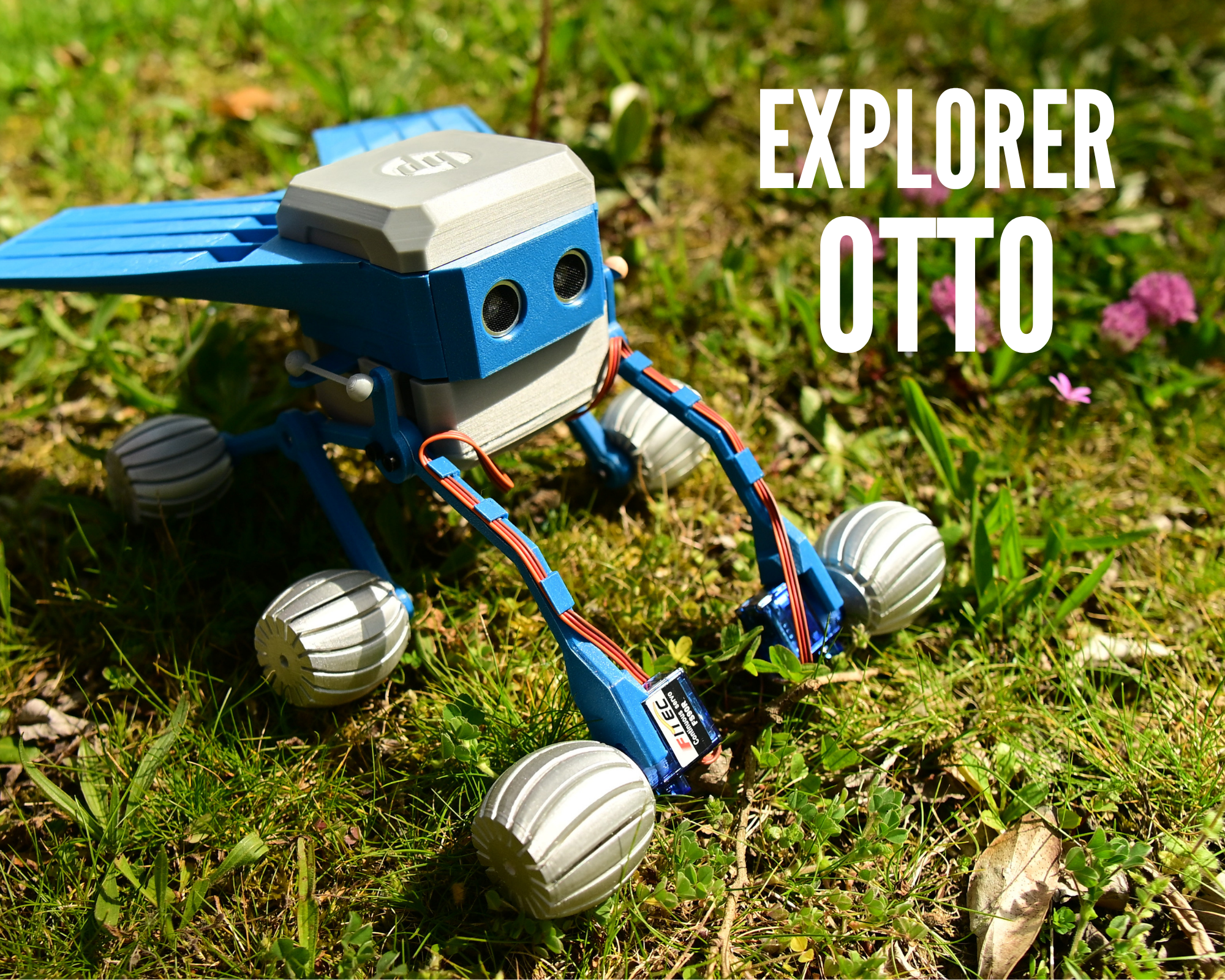 Explorer Otto 3D model