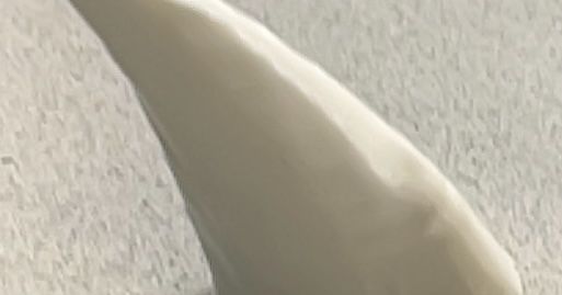 Whale Tooth by Zack Ronald | Download free STL model | Printables.com