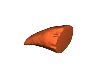 Whale Tooth by Zack Ronald | Download free STL model | Printables.com