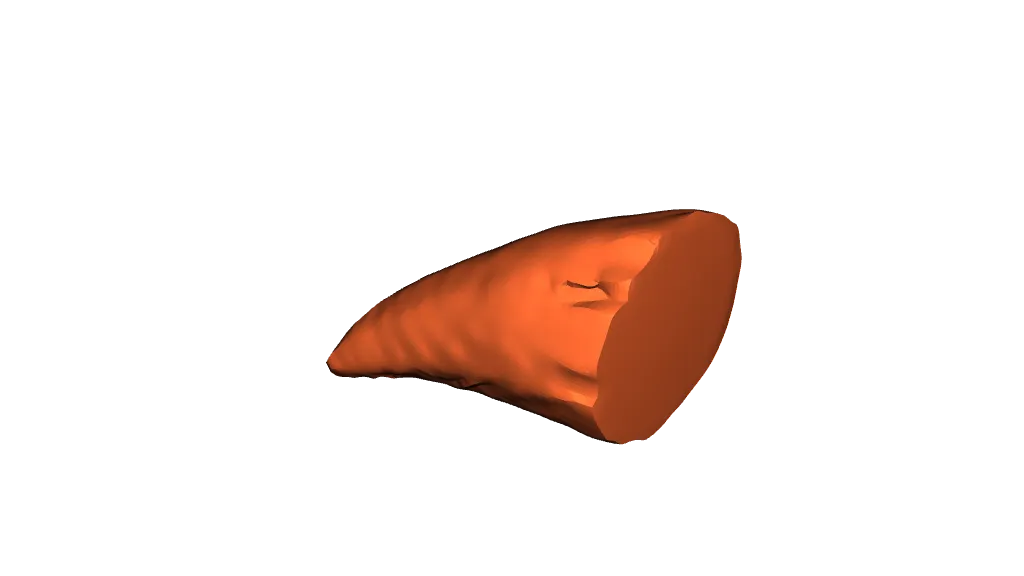 Whale Tooth by Zack Ronald | Download free STL model | Printables.com