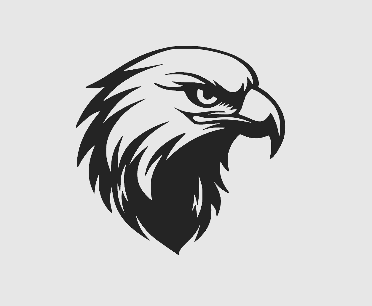 eagle - wall art