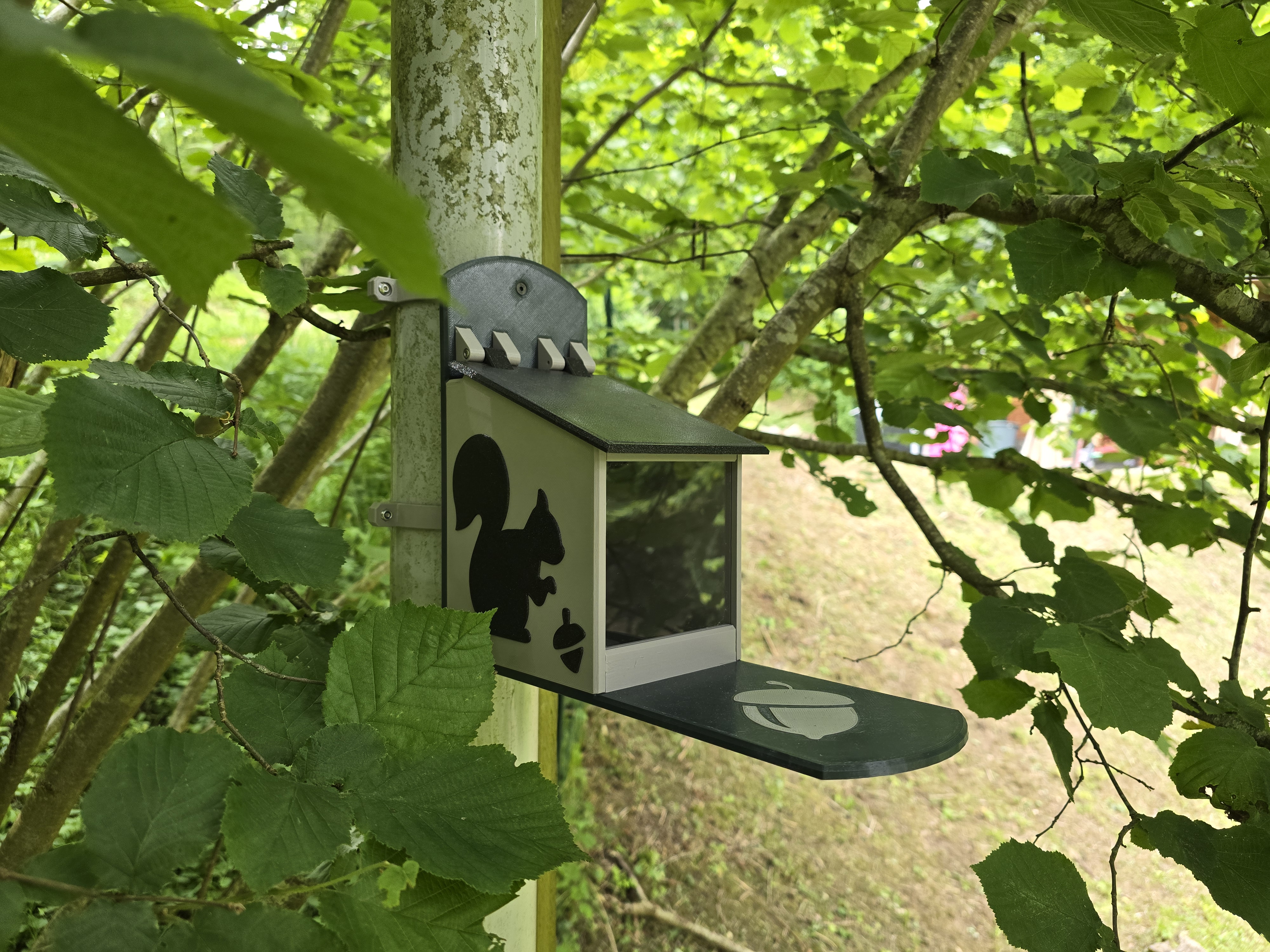 Squirrel Feeder