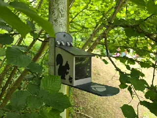 Squirrel Feeder