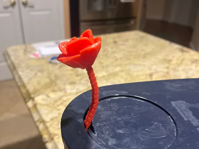 Rose with articulated stem