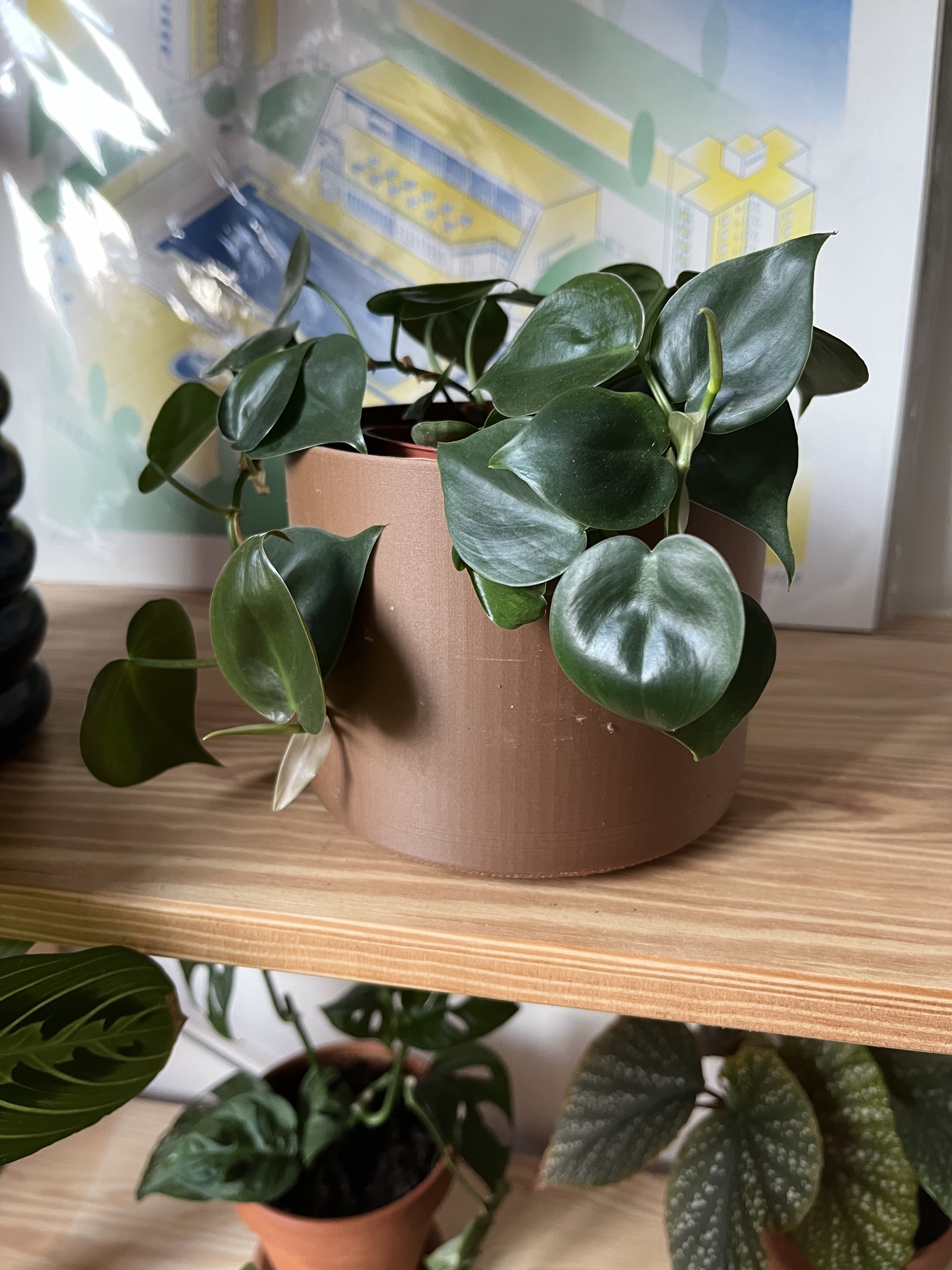 Basic cylindrical planter