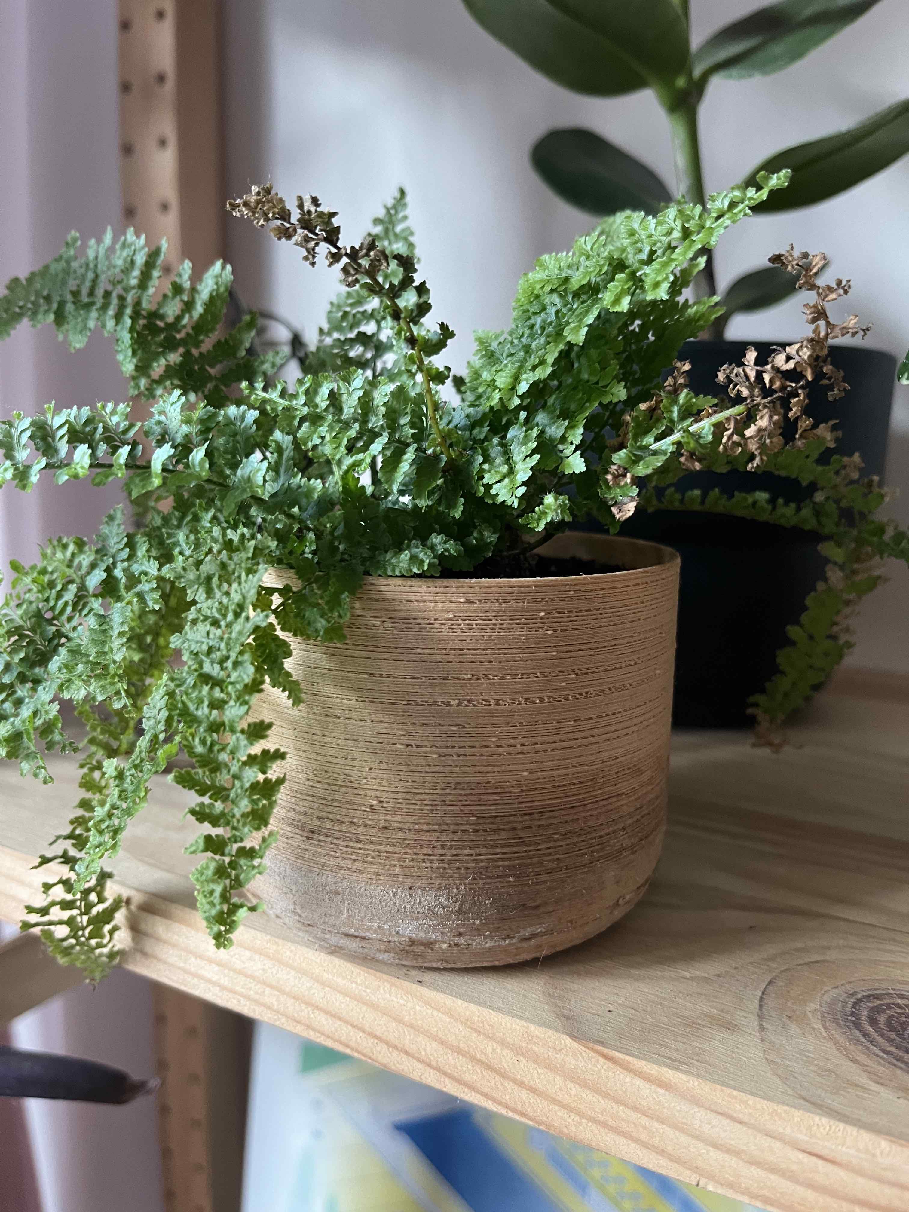 Miniatura 2 do modelo 3D Basic cylindrical planter