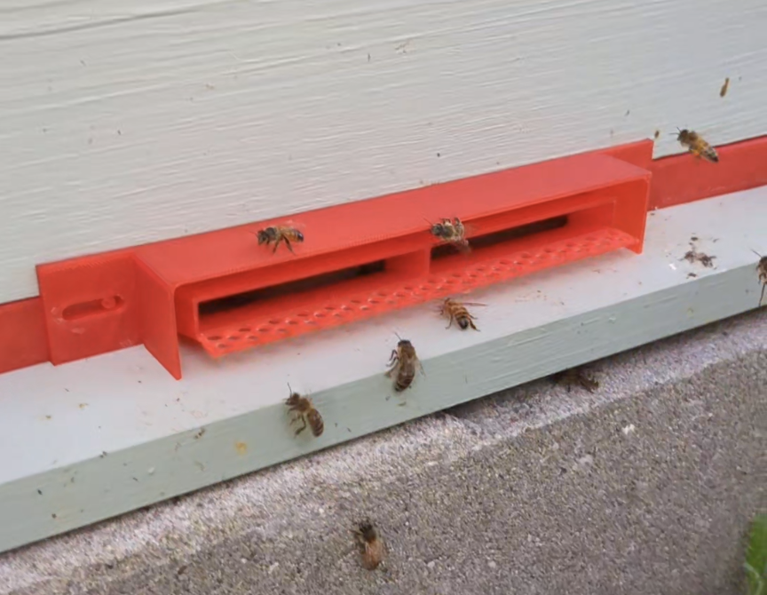 Sentinel Honey Bee Entrance Reducer (anti small hive beetle)