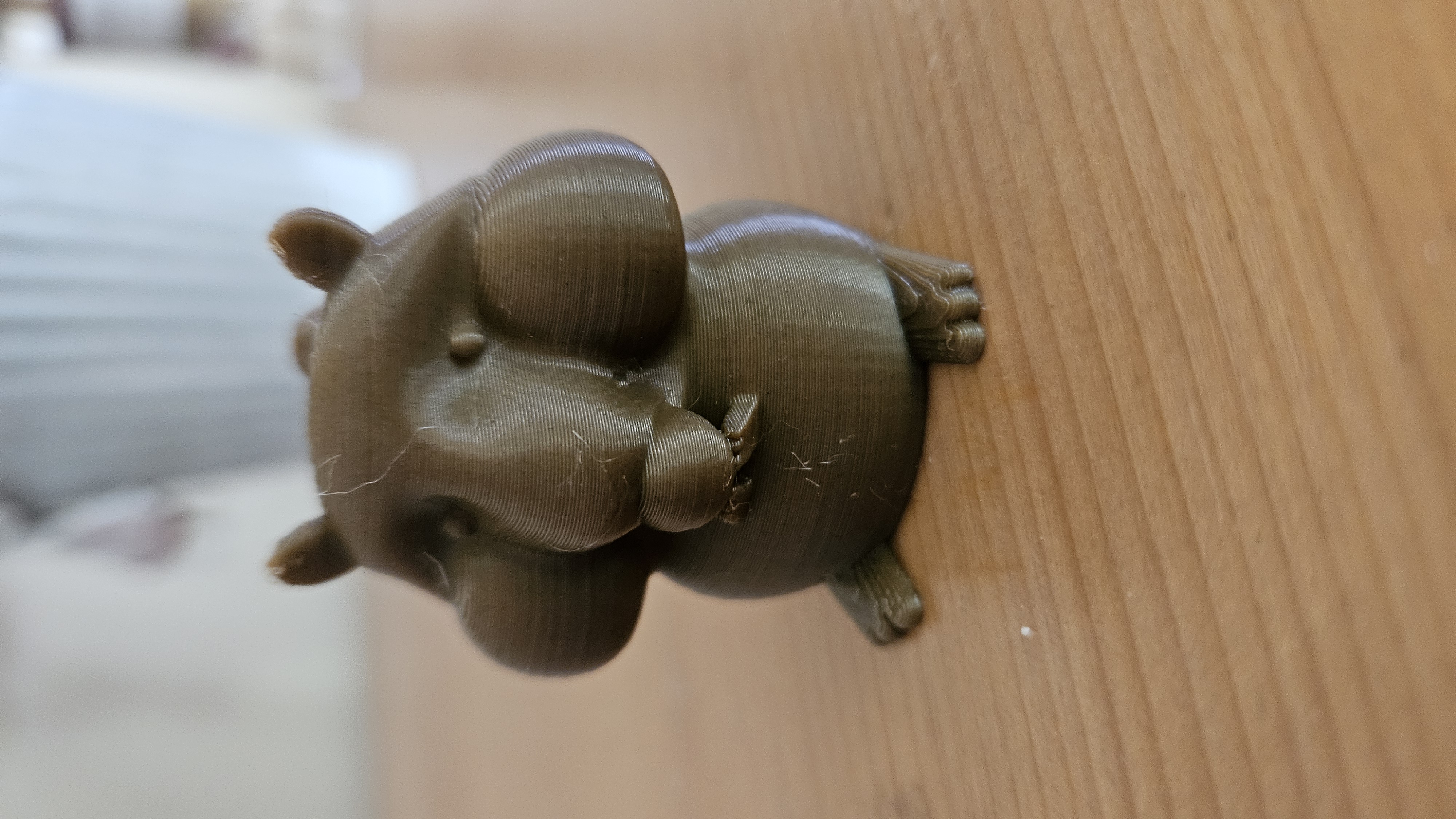 Cute Chubby Chipmunk