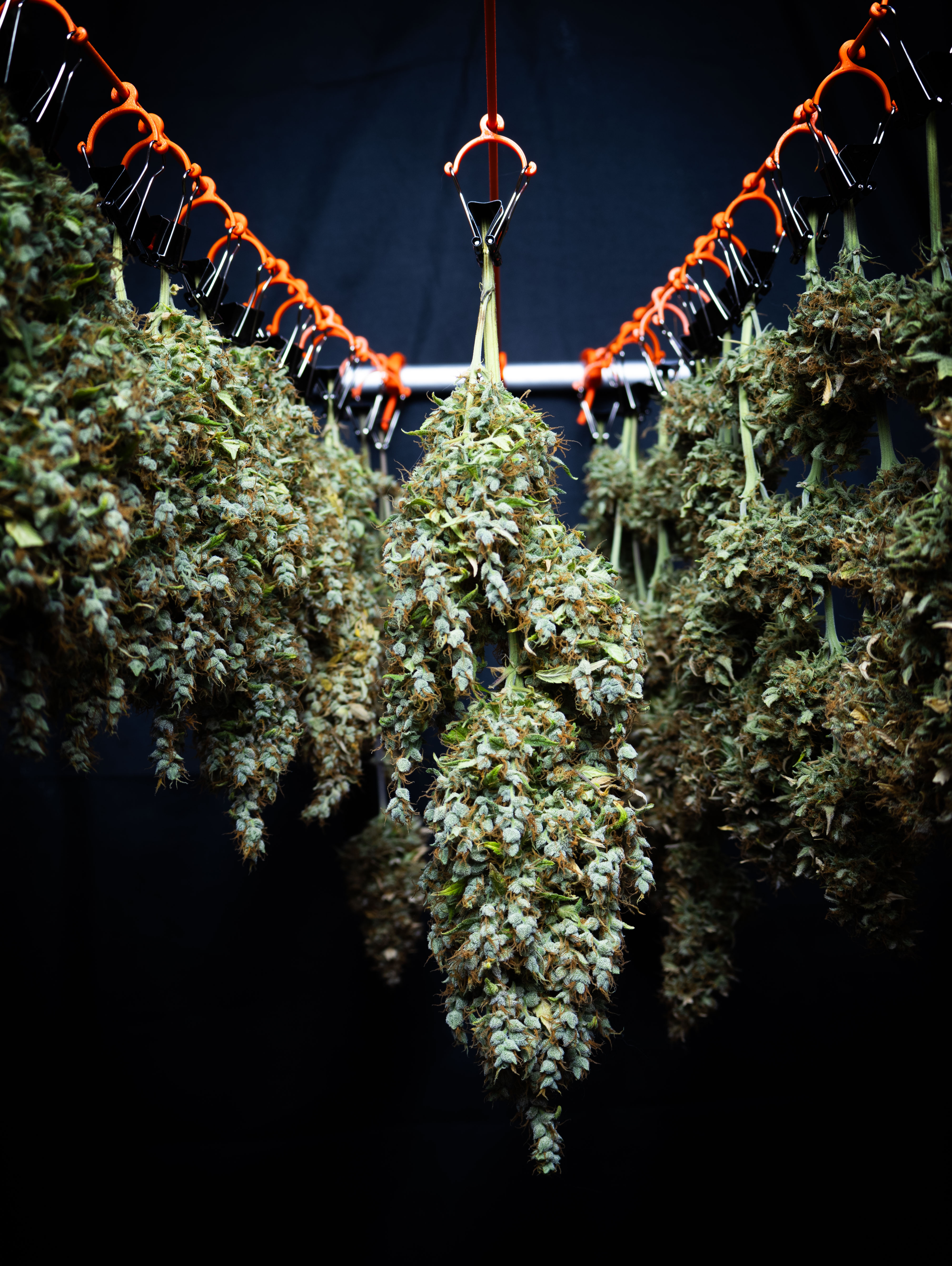 Foldback-Hook for herb drying