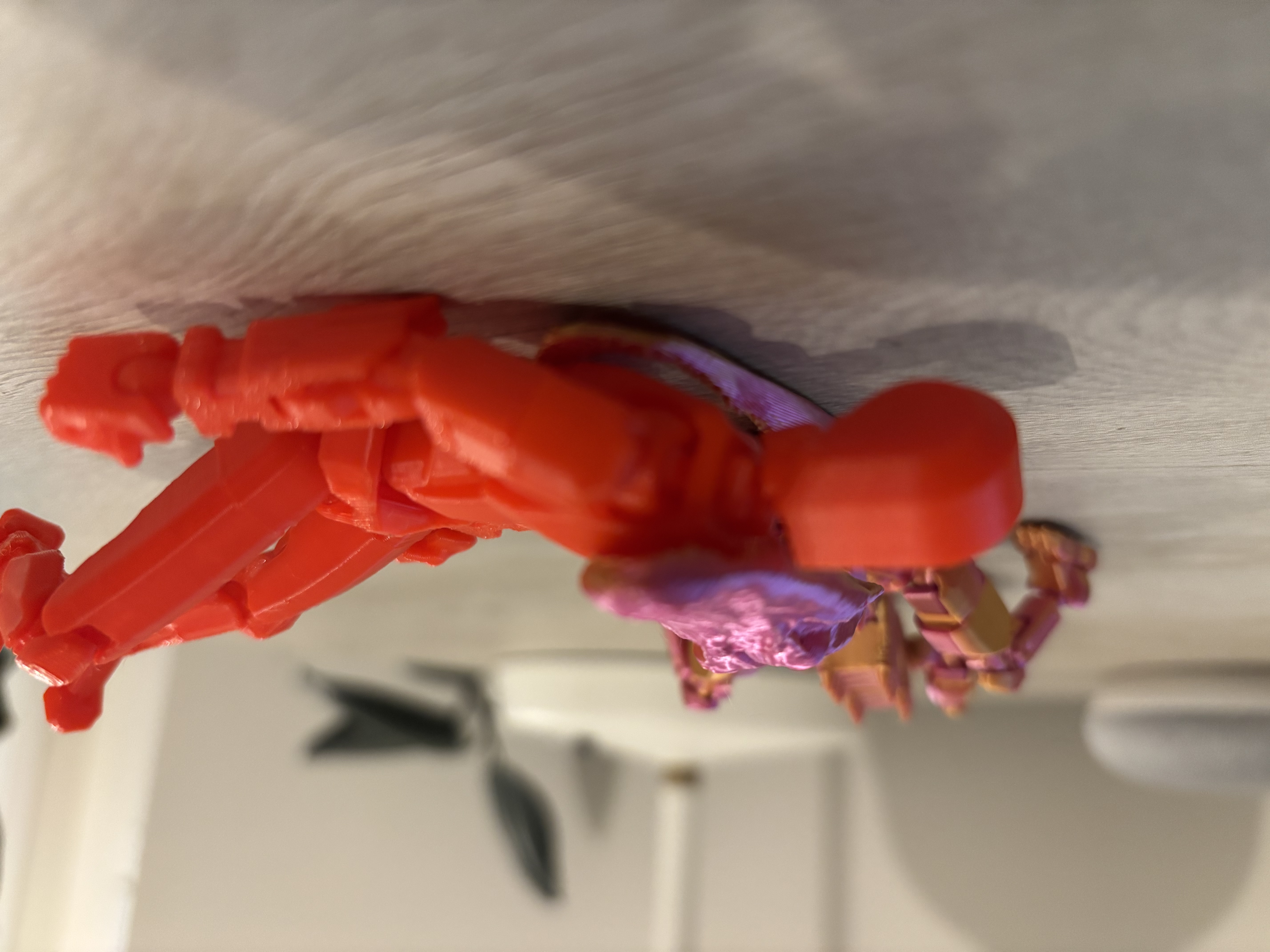 Gator 13 — thumbnail 4