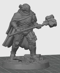 Oath Sword Bastion Knight with Two Handed Warhammer