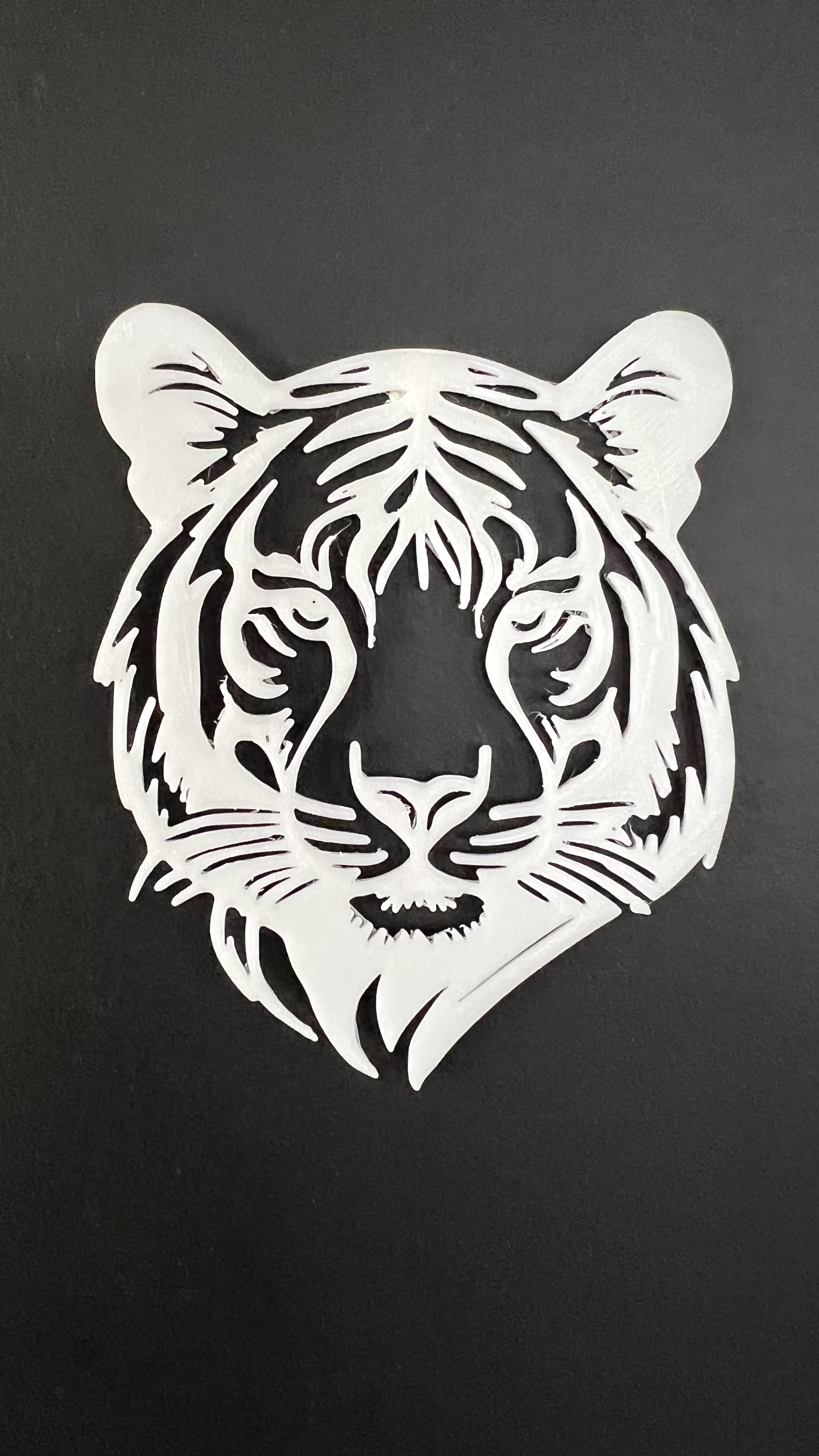 Tiger Wall Art #2
