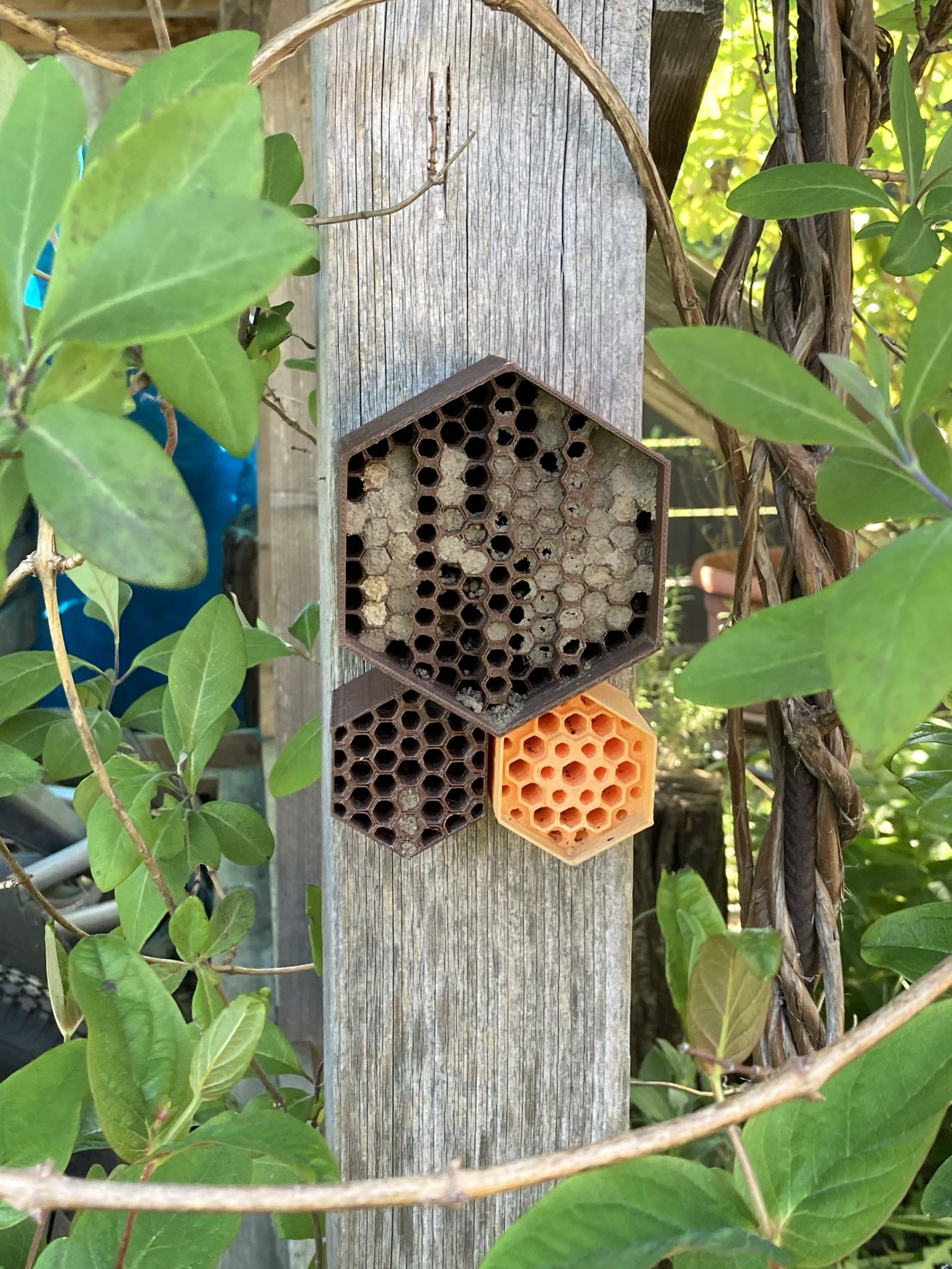 Bienenhotel Bee Hive Hex Hotel